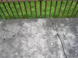 image of grave number 901105